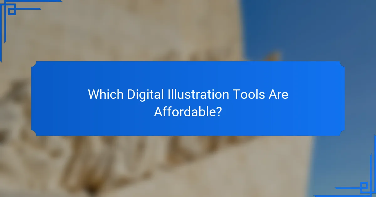 Which Digital Illustration Tools Are Affordable?